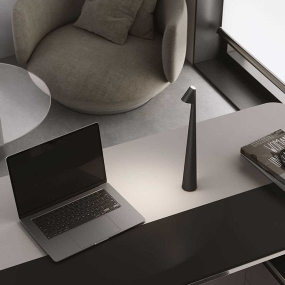 Настольная лампа Elektrostandard Elite TL70250 a068070