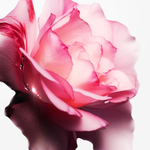 Mugler Angel Nova Многоразовый флакон Eau de Parfum для женщин