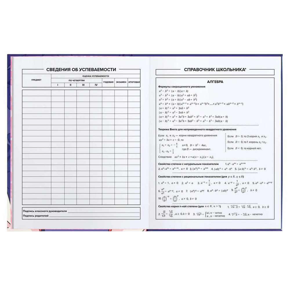 Дневник школьный 48л "Скейтбордистка" (Феникс+)