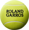 Мяч для автографов Wilson Roland Garros Jumbo Ball 9" Yellow, арт. WRT1419YD