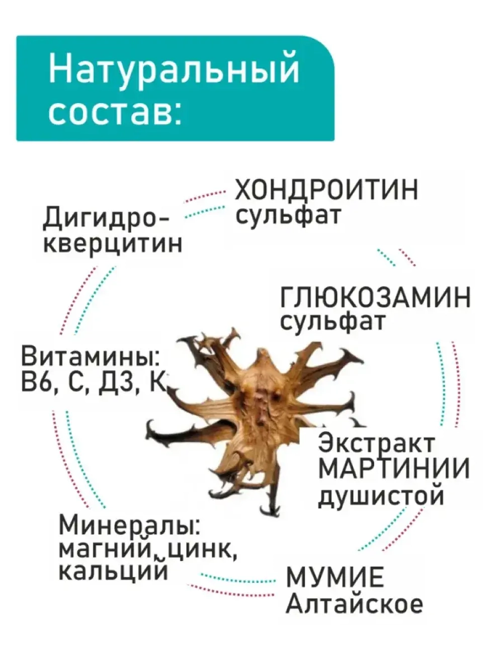 Глюкозамин, хондроитин, мумиё, комплекс для суставов