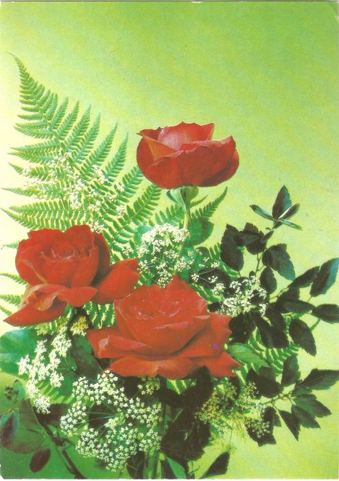 Открытка "Красные розы" фото И. Дергилева