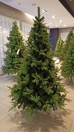 Искусственная ель "Форесто" (Литая+пвх) от 1,2 м до 2,4 м