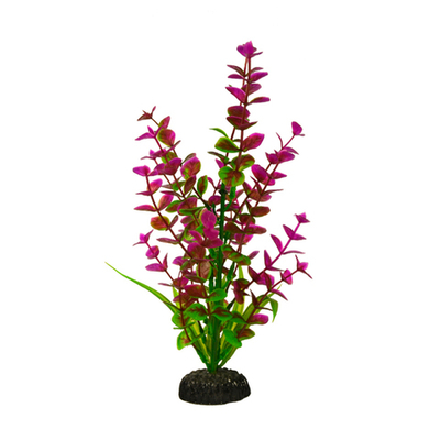 Пластиковое растение Бакопа красная  20см