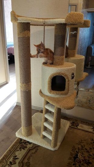 Дом для кота Н-7