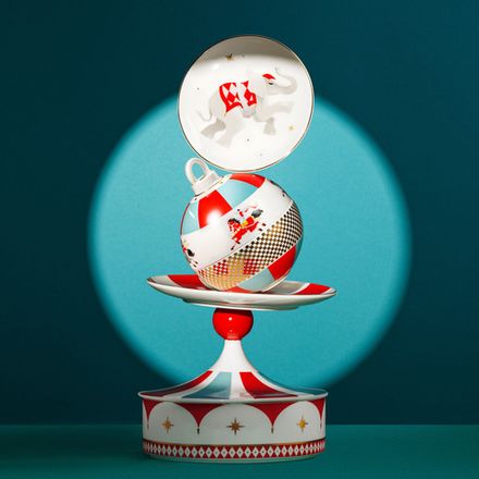 Цирковое представление