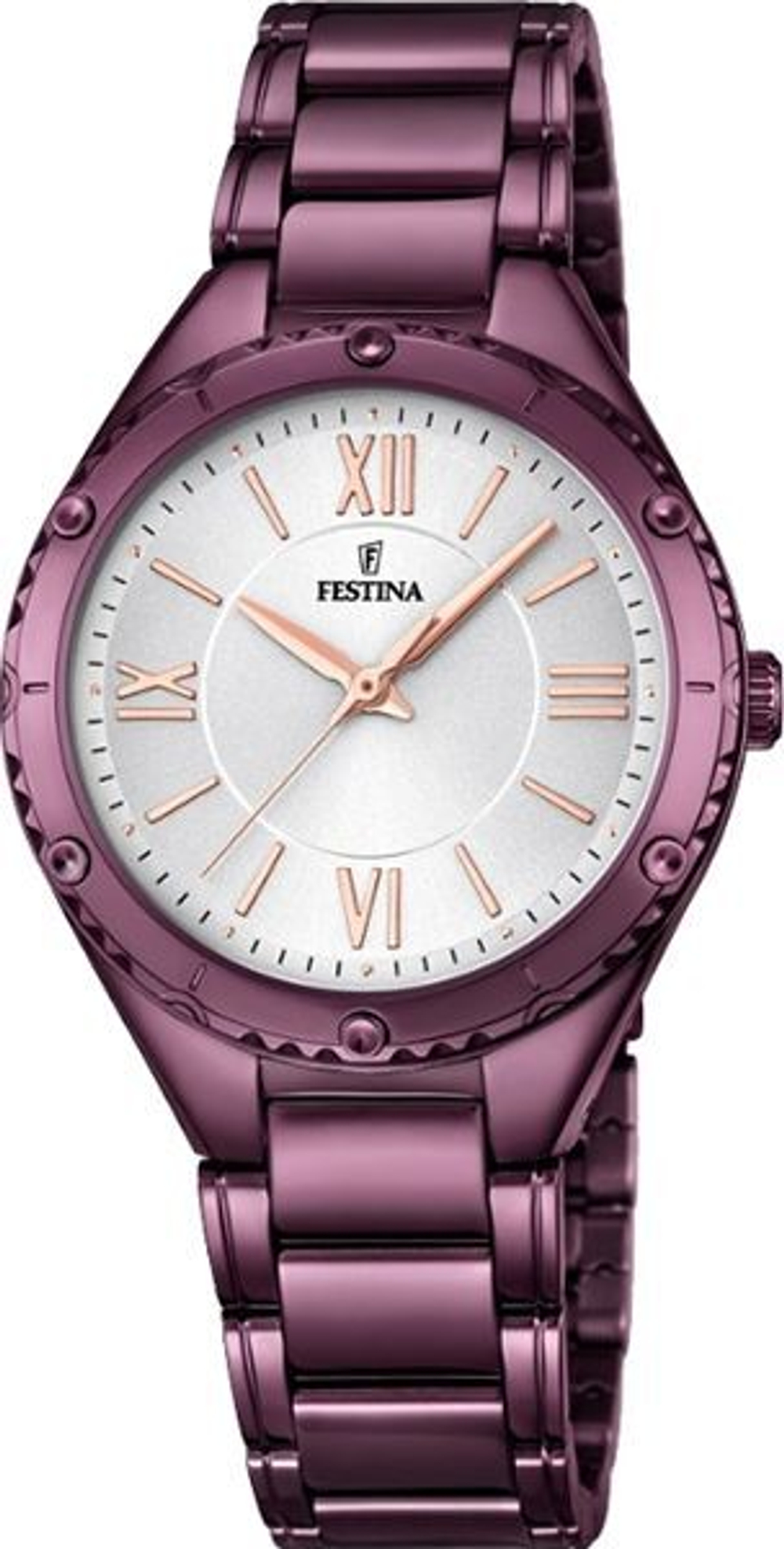 Часы Festina F16924/1