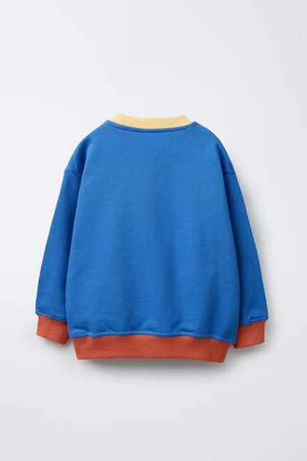 ZARA ТОЛСТОВКА С НАДПИСЬЮ, РАЗНОЦВЕТНЫЙ