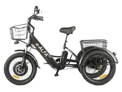 Электровелосипед GREEN CITY e-ALFA Trike (черный)