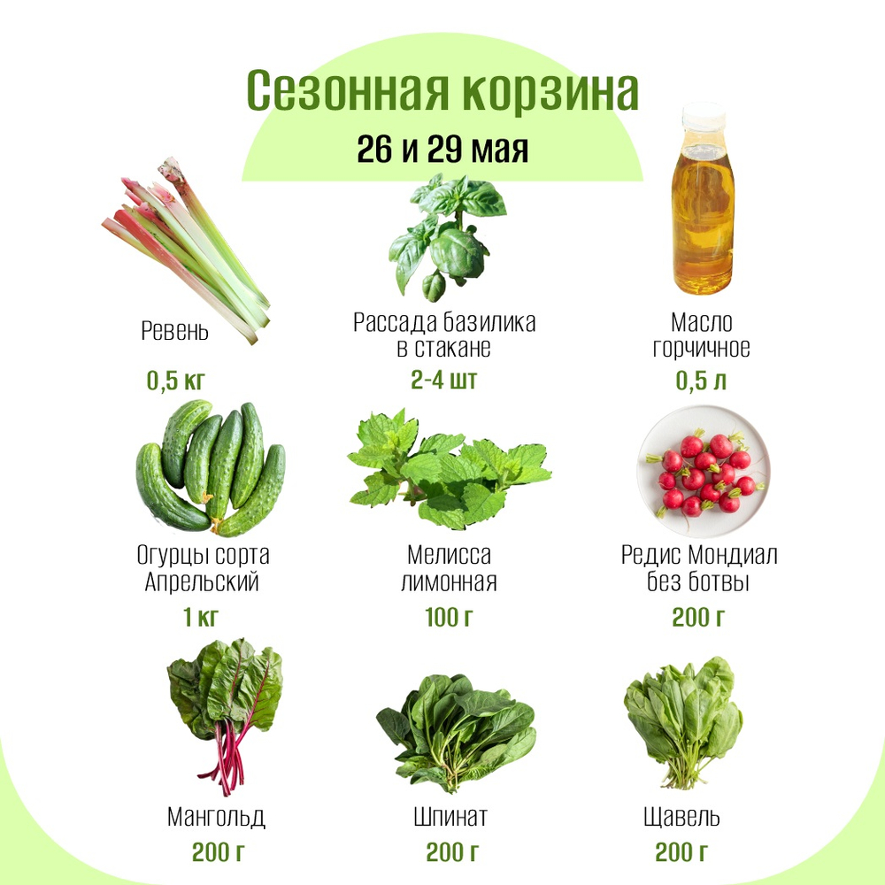 Сезонная корзина