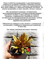 Живучка Френдс Фенси Финч Пёрышки чудесного Зяблика