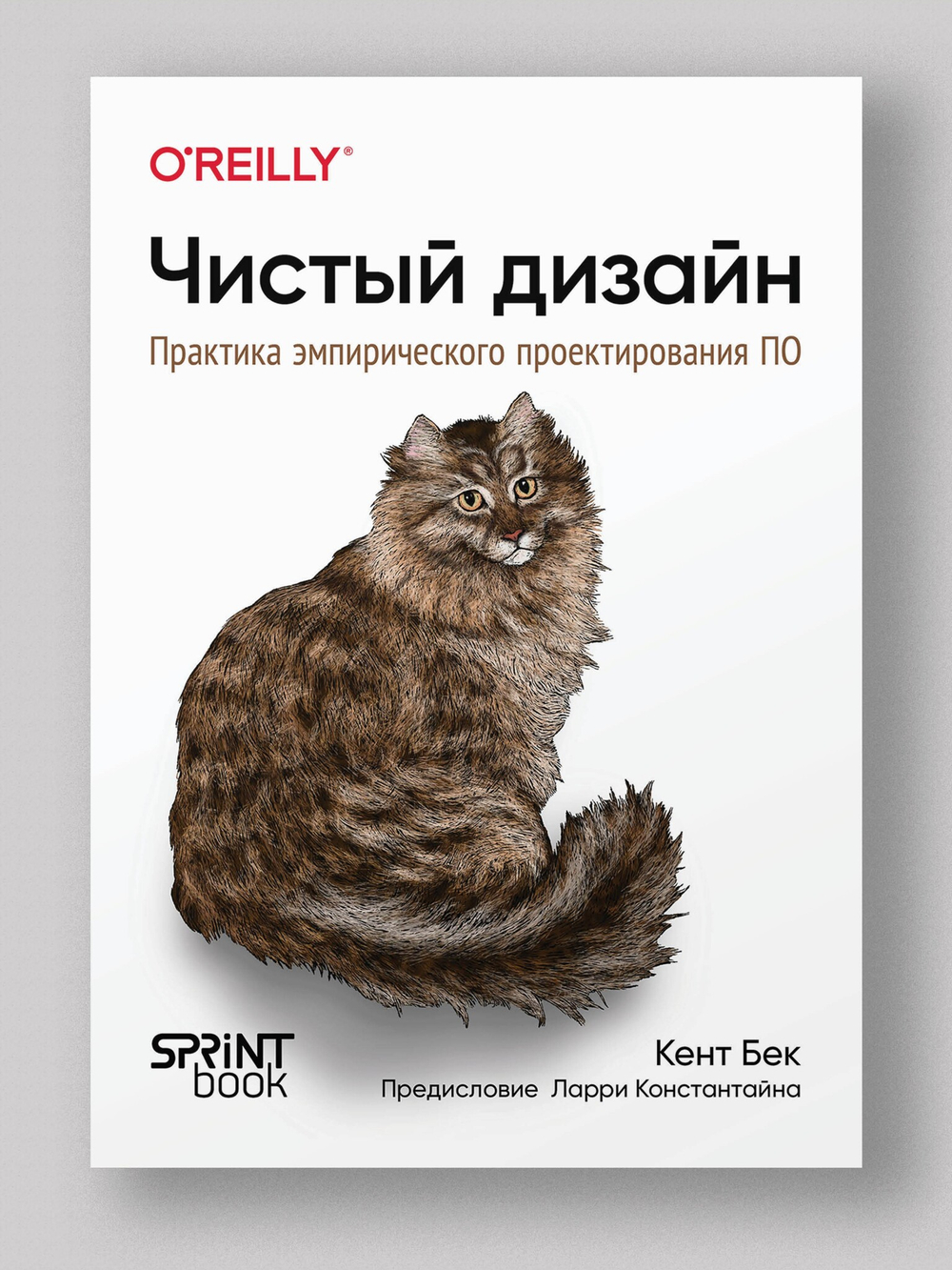 Чистый дизайн. Практика эмпирического проектирования ПО
