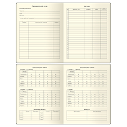 Дневник 1-11 кл. 48л. (ЛАЙТ) "Total gray", иск. кожа, тиснение, цветн. срез, ляссе, BG