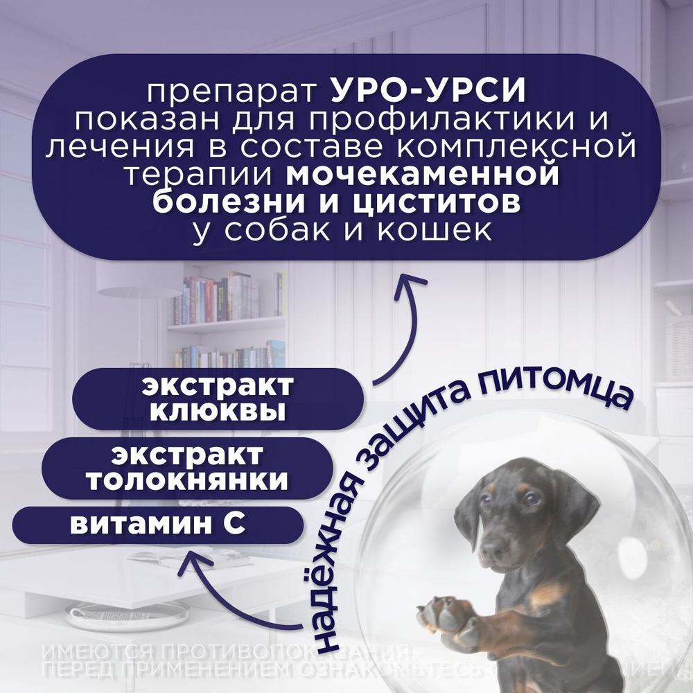 Уро-Урси упаковка, 90 капсул