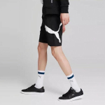 Шорты Puma Ess Logo, 846007-01