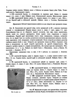 Сибирские древности. Том 2. Выпуск 1 | В. В. Радлов