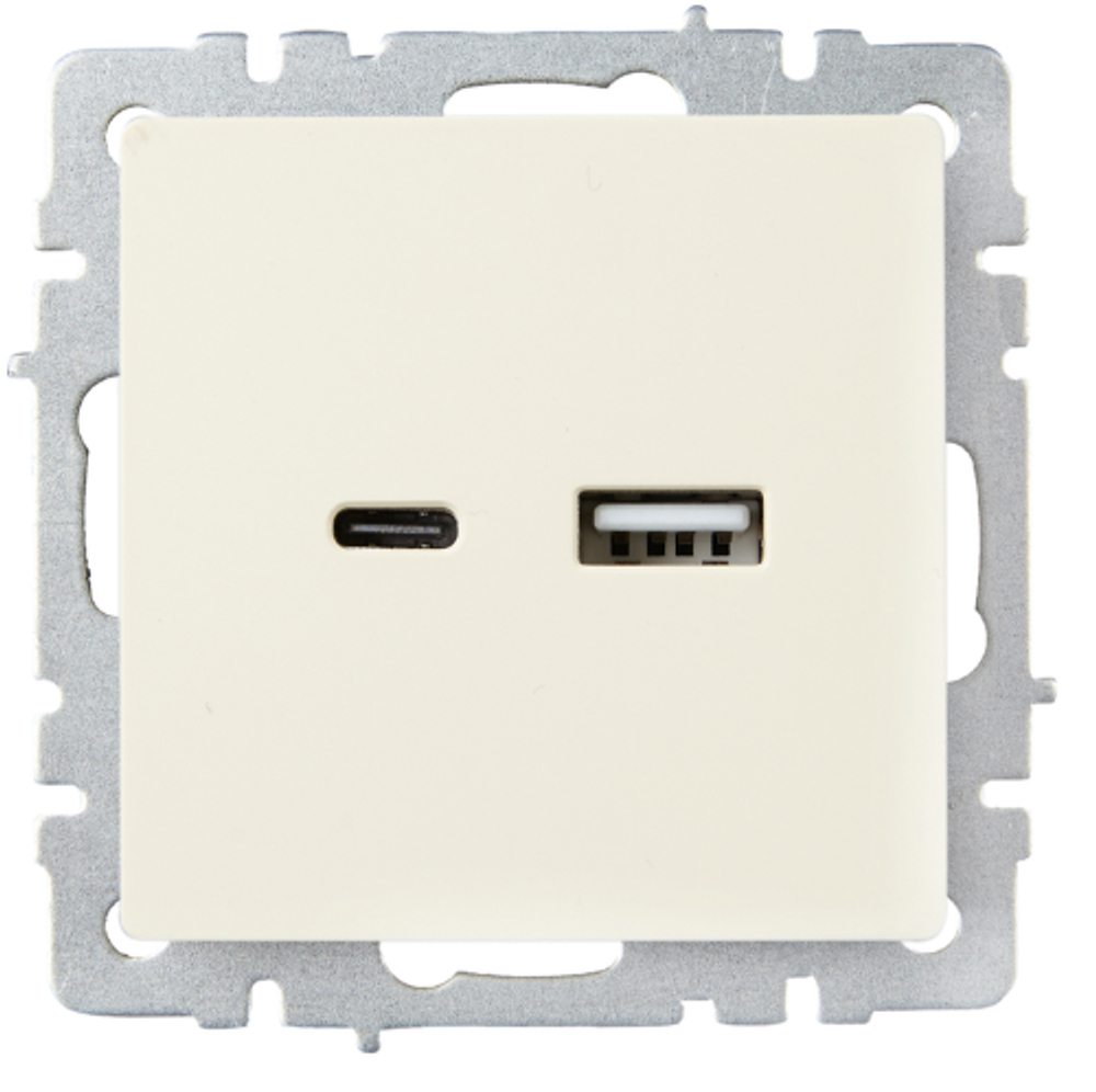 Розетка USB  IEK BR-U22-018-K10