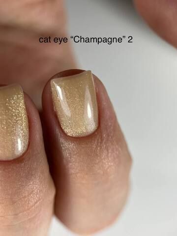 Fresh CAT EYE CHAMPAGNE 2