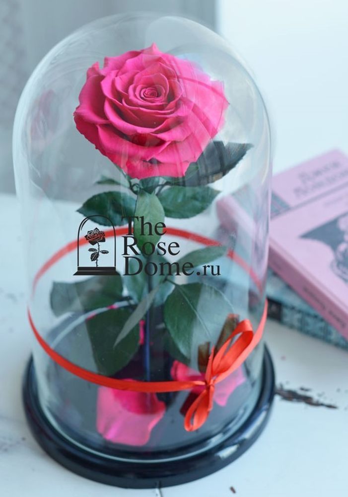 Роза в колбе King Size 30см розовая (фуксия)