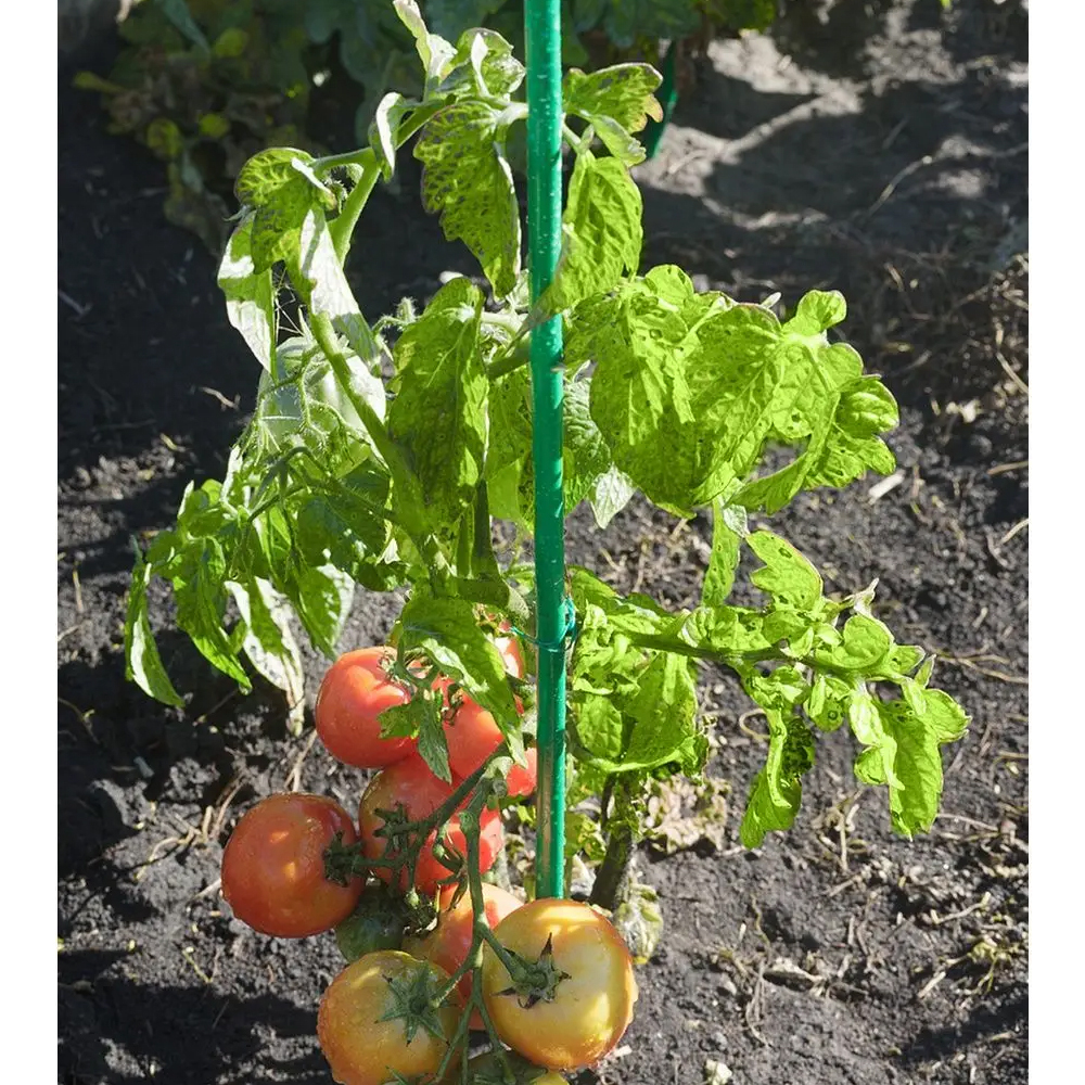 Колышки 0,5м труба 10мм Садовита (комплект 10шт)