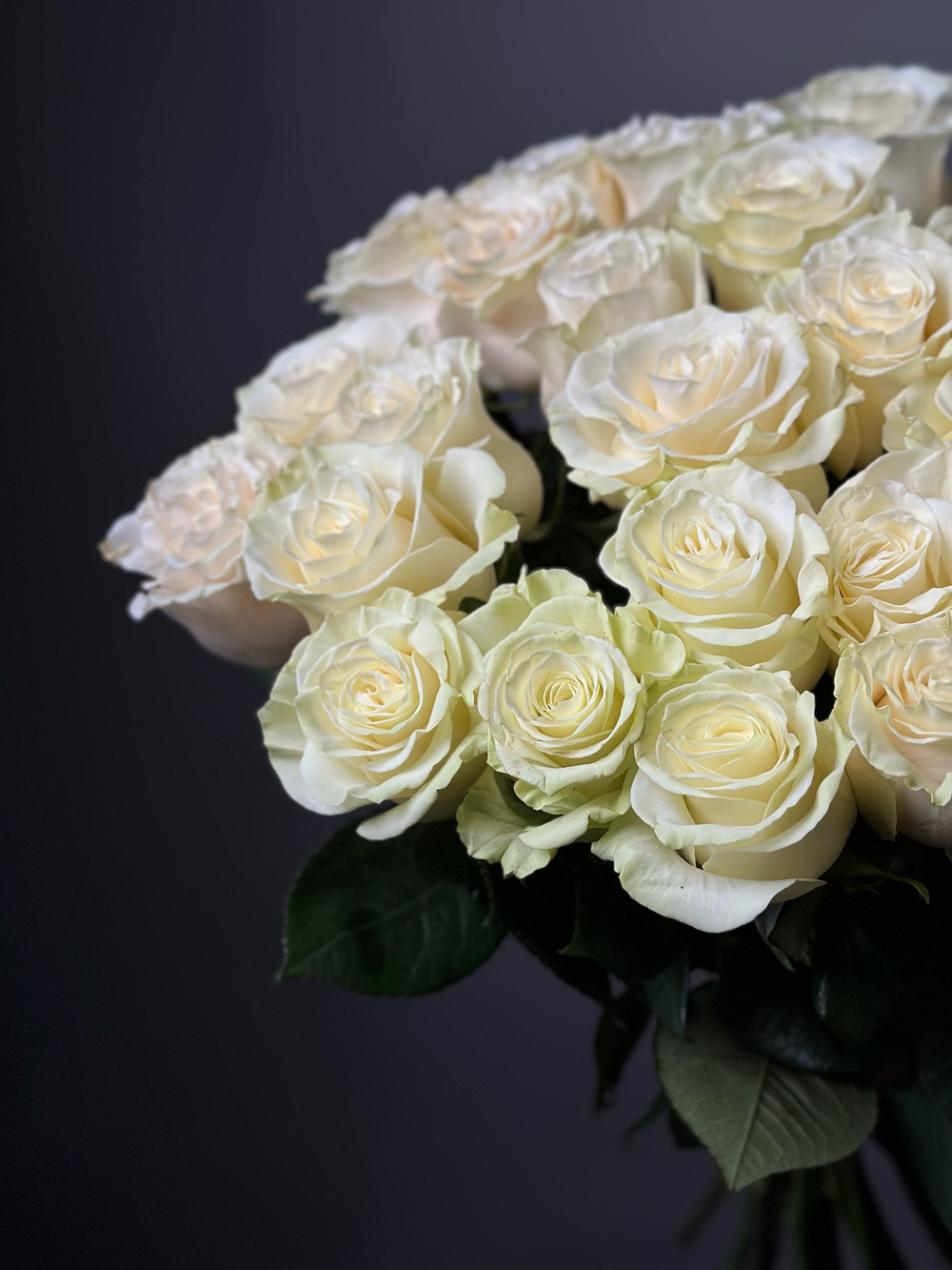 25 Белых роз сорт «MONDIAL» (Эквадор)