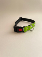 Ошейник для крупных собак , Биотан , 25 мм. 45-55 см. Черный , салатовый.