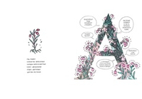 Азбука северных растений (альтернативная обложка)