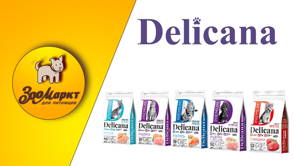 Акция сухие корма для кошек и собак Delicana