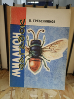 Миллион загадок