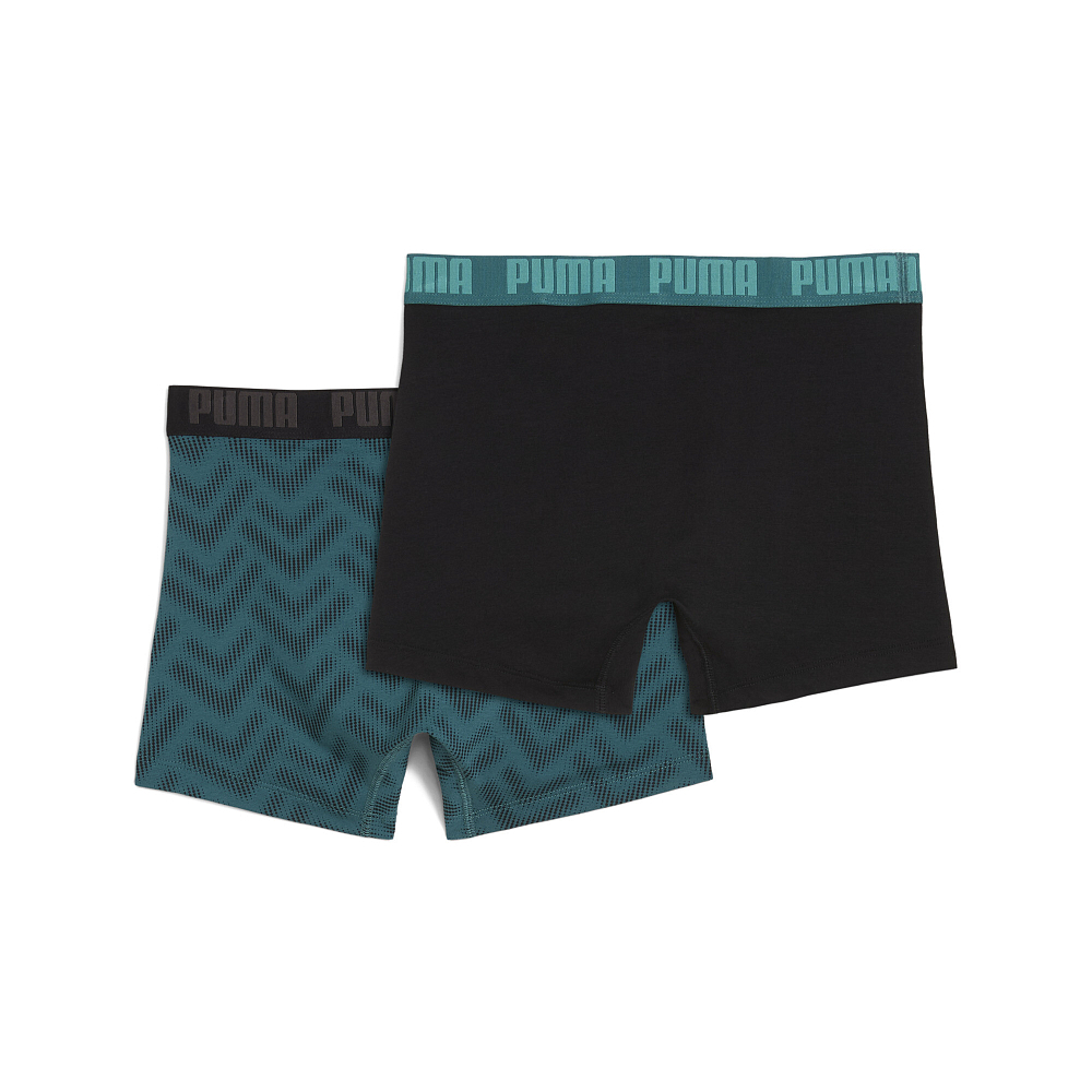 Мужское нижнее белье PUMA PRINTED BOXERS 2P