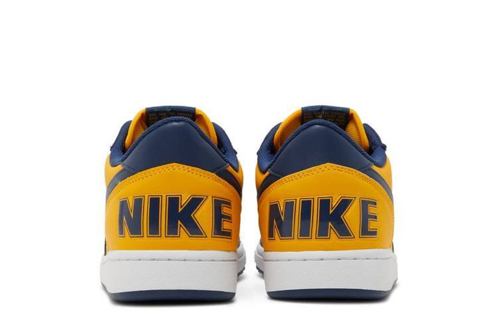 Кроссовки Nike Terminator
