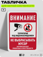 Табличка для частной территории "Внимание, не выбрасывать мусор", на дом, для участка, организаций и частных территорий, предупреждающая, 40х30 см, Silver Plane x Айдентика Технолоджи