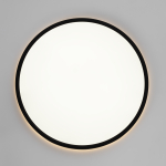 Потолочный светодиодный светильник Citilux NORMA CL748401