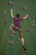 Купить Футболка Called a Garment Letters Hooks Grass зеленая Футболка Called a Garment Letters Hooks Grass зеленая