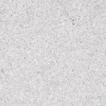 Японский бисер TOHO Demi 11/0 (№1), прозрачный глянцевый