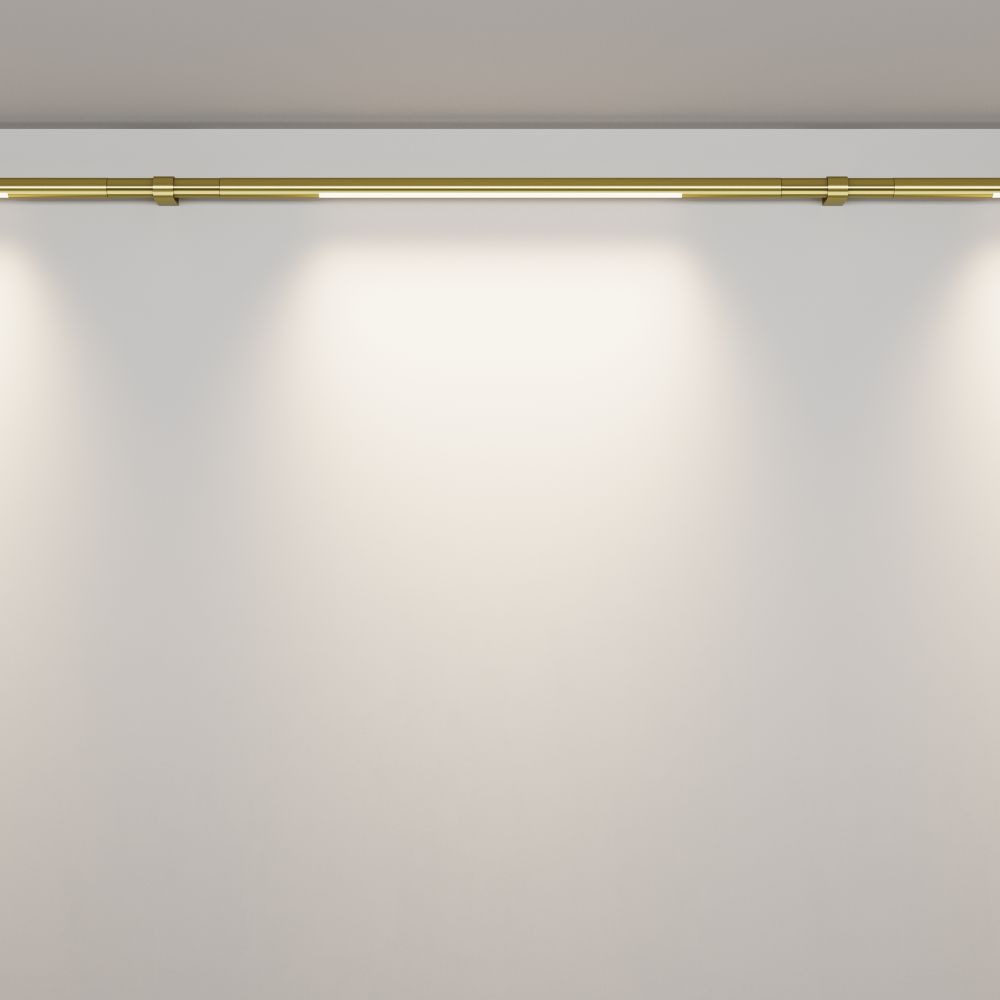 Трековый штанговый светодиодный светильник Maytoni Axity Basis C100CL-L500-12W3-6K-BS