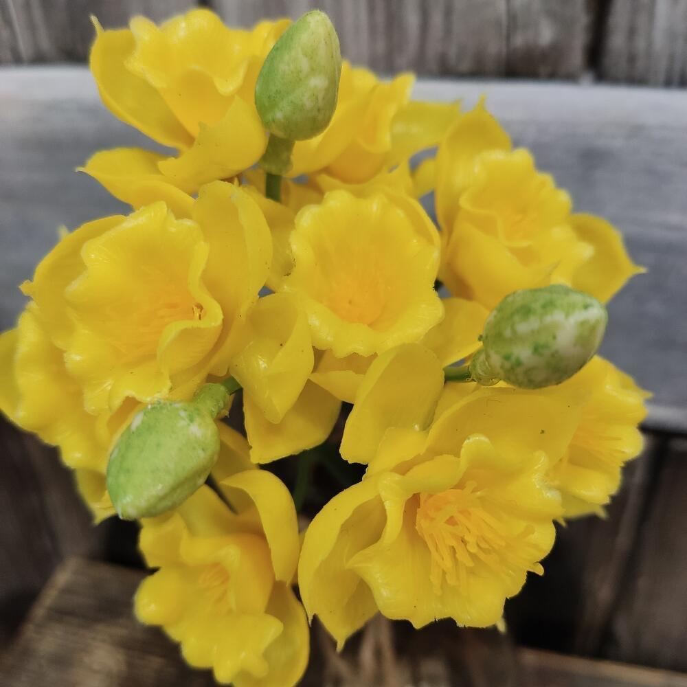 Букет нарциссы, искусственные силикон, желтые