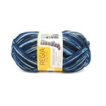 Regia Design Line 4 ply - 03891 (breivikbotn color)