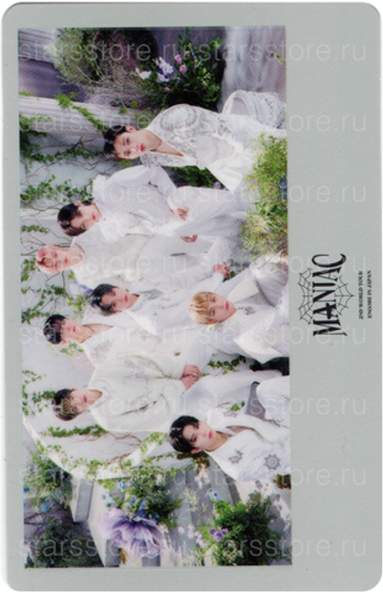 Фотокарта общая Stray Kids "MANIAC ENCORE" (B ver)