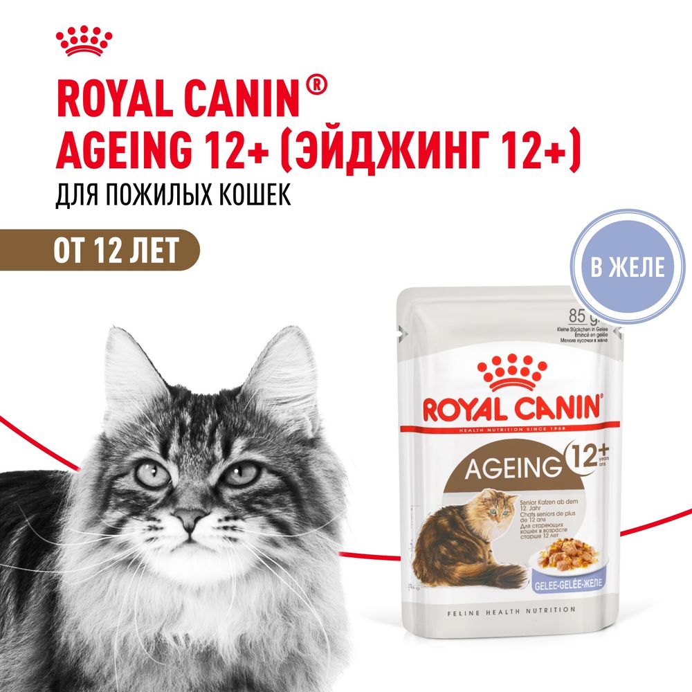 Пауч Royal Canin Ageing +12 для стареющих кошек в возрасте старше 12 лет, мелкие кусочки в желе Пауч Royal Canin Ageing +12 для стареющих кошек в возрасте старше 12 лет, мелкие кусочки в желе