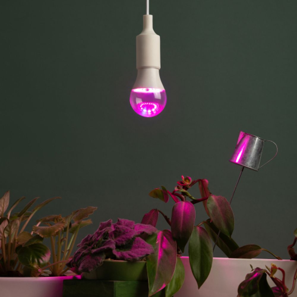 Фитолампа для растений светодиодная ЭРА GREEN LINE ФИТО A65-20W-PL-E27-GR розового свечения 20 Вт Е27 | Фитолампы Е27