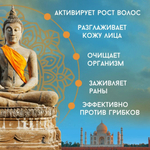 Индийское касторовое масло 100 мл, холодного отжима