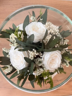 натуральные пионы в стекле, вакуум*