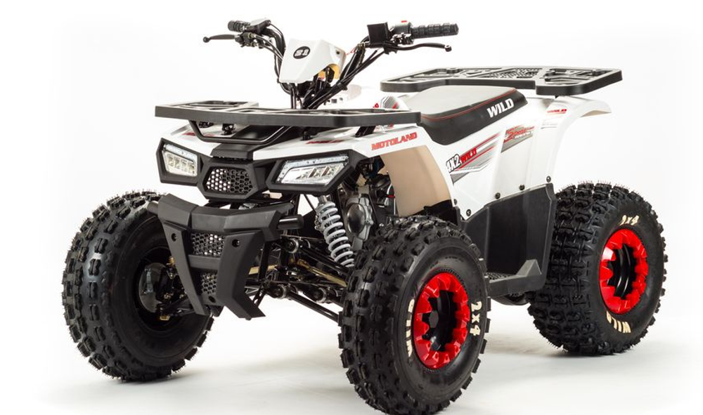 Квадроцикл MOTOLAND (МОТОЛЕНД) 125 WILD