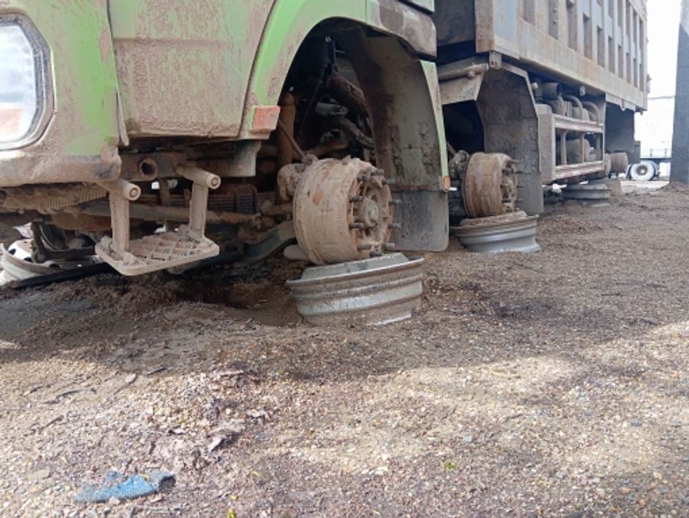 Shacman (Shaanxi) SX* 8x4 Самосвал SX33186W366C (Дизельный, 10,8 л, 441 л.с., МТ)