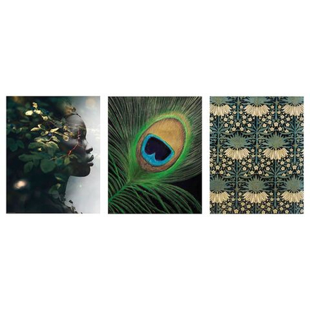 IKEA BILD  (ИКЕА БИЛД)  -  Плакат, зеленое перо, 40x50 см