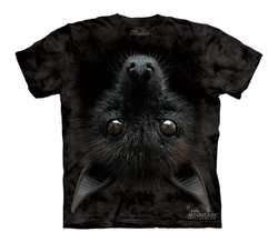 Bat Head