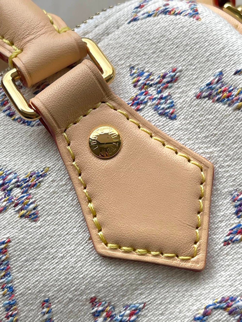 Louis Vuitton Speedy 20