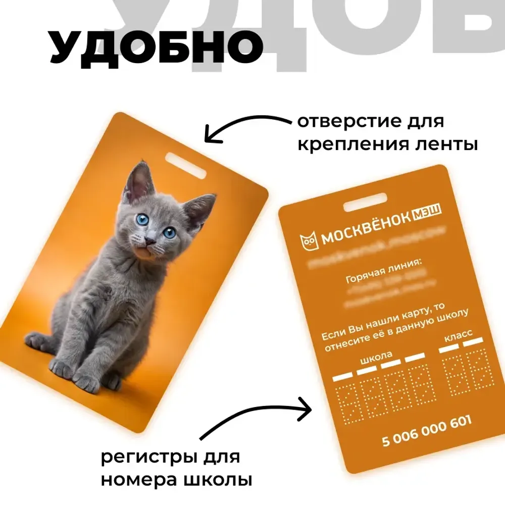 Карта Москвёнок CATS №11 (проход + питание)