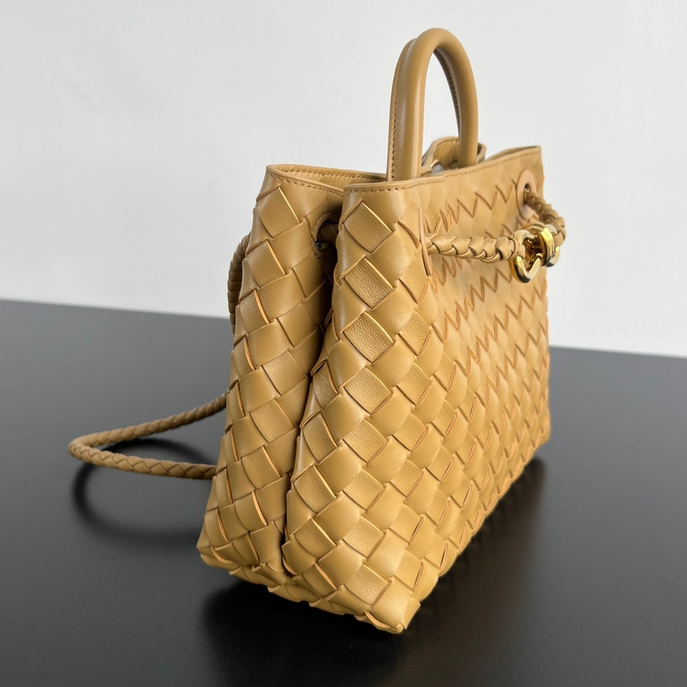 Bottega Veneta Small Andiamo 25 cm